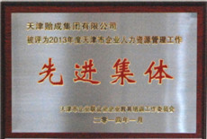 2014年05--2013年度天津市企業(yè)人力資源管理工作“先進集體”.jpg